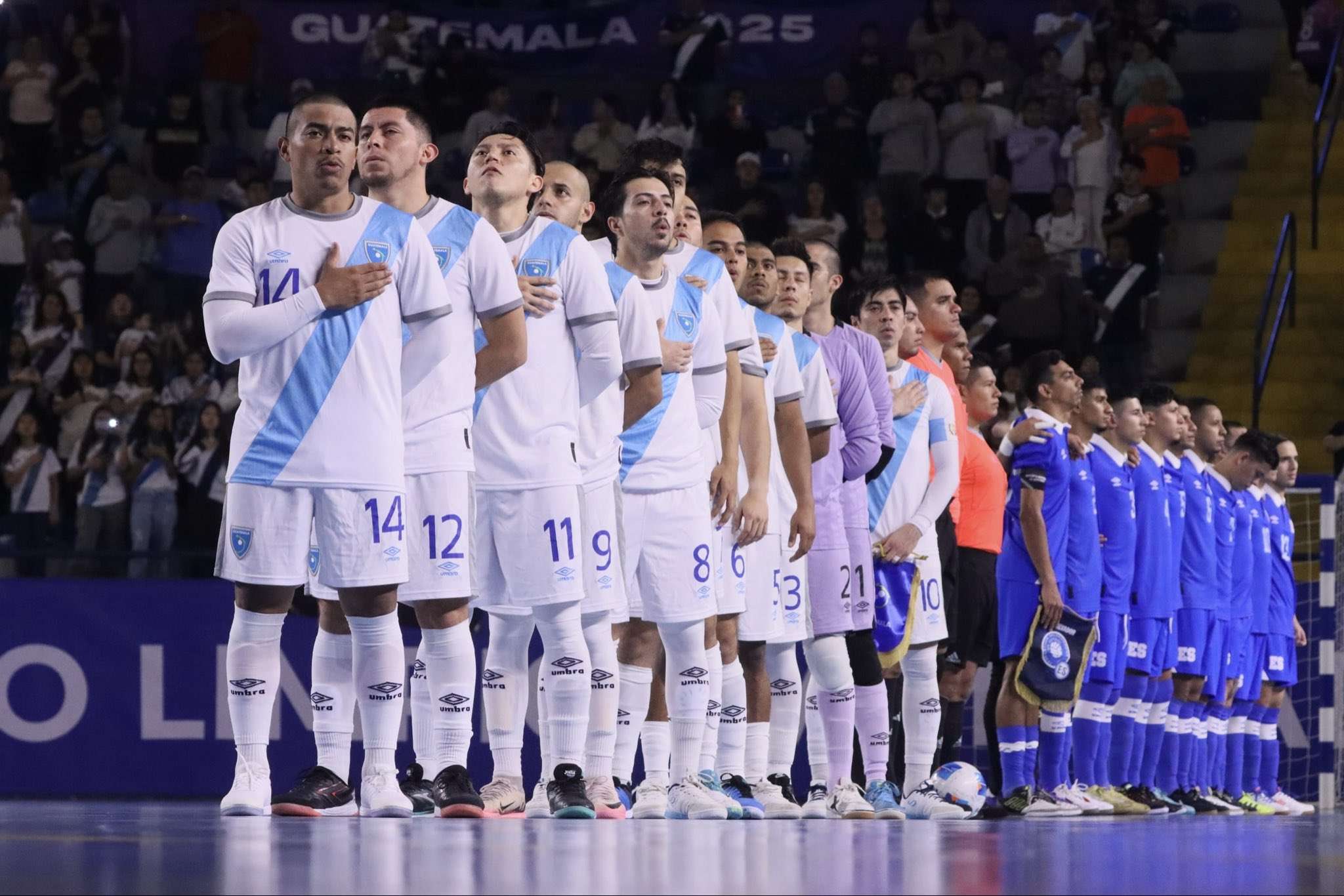 selección de futsal.