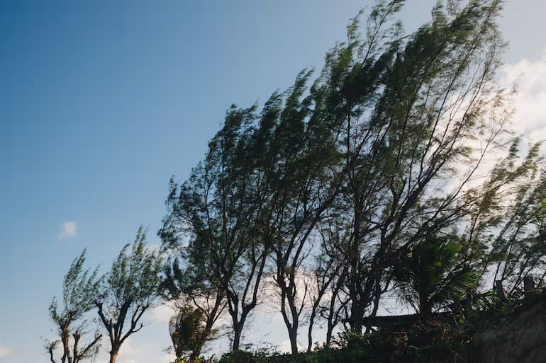 ¡Ajusta la bufanda! Vientos de hasta 60 km/h azotan varias regiones del país