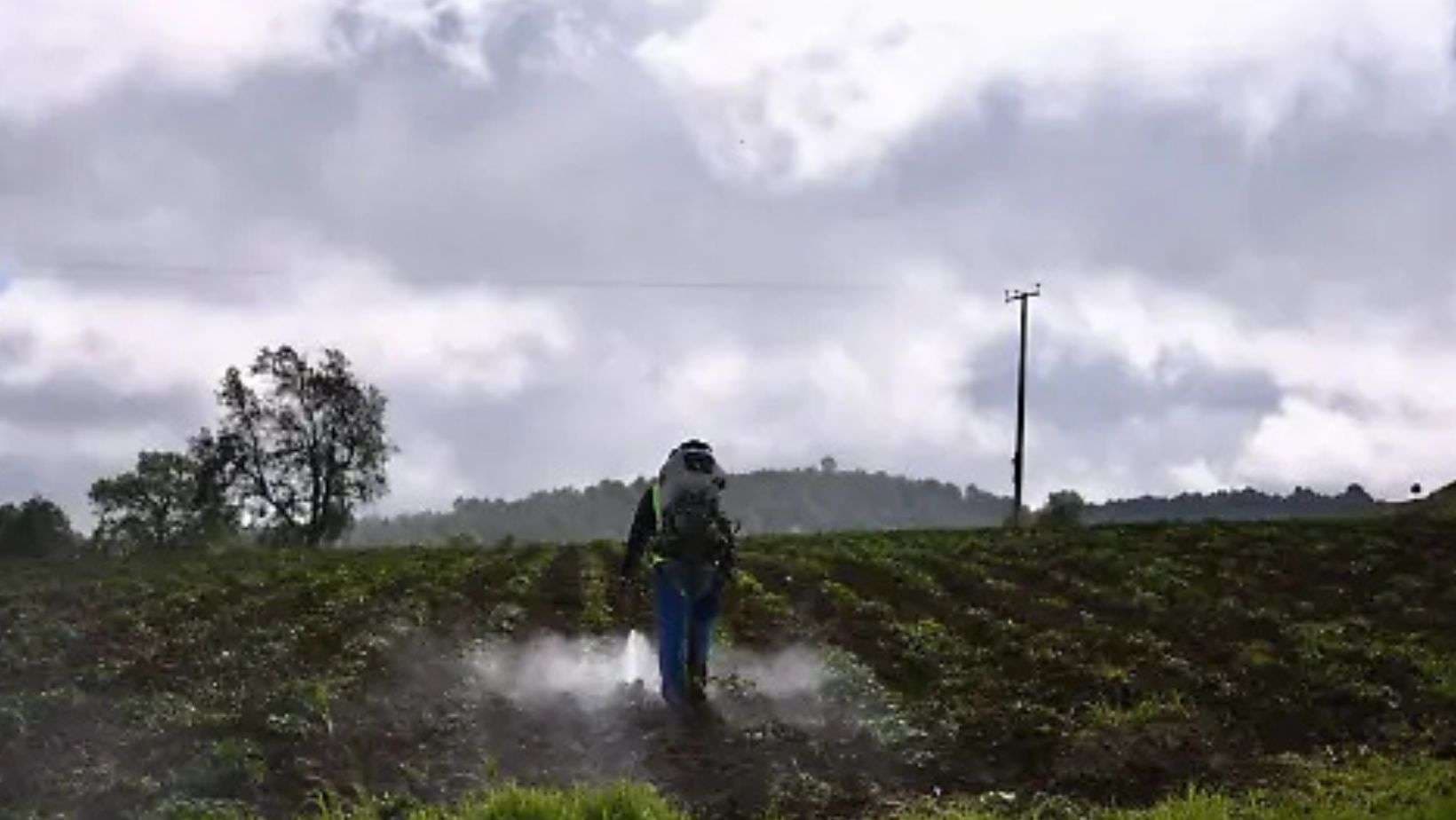 ¿Listo para el frío? Así podrían verse afectados cultivos y animales