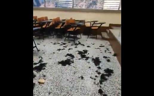 denuncias vejámenes.