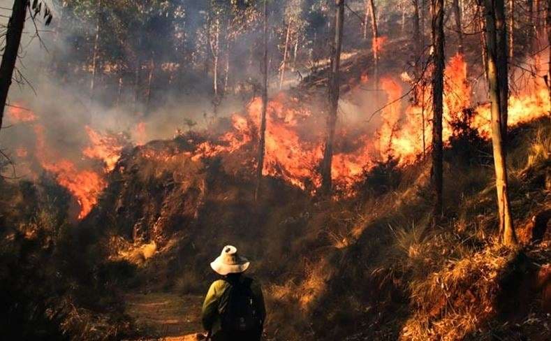 Arranca campaña “Alto el fuego” ante temporada crítica de incendios