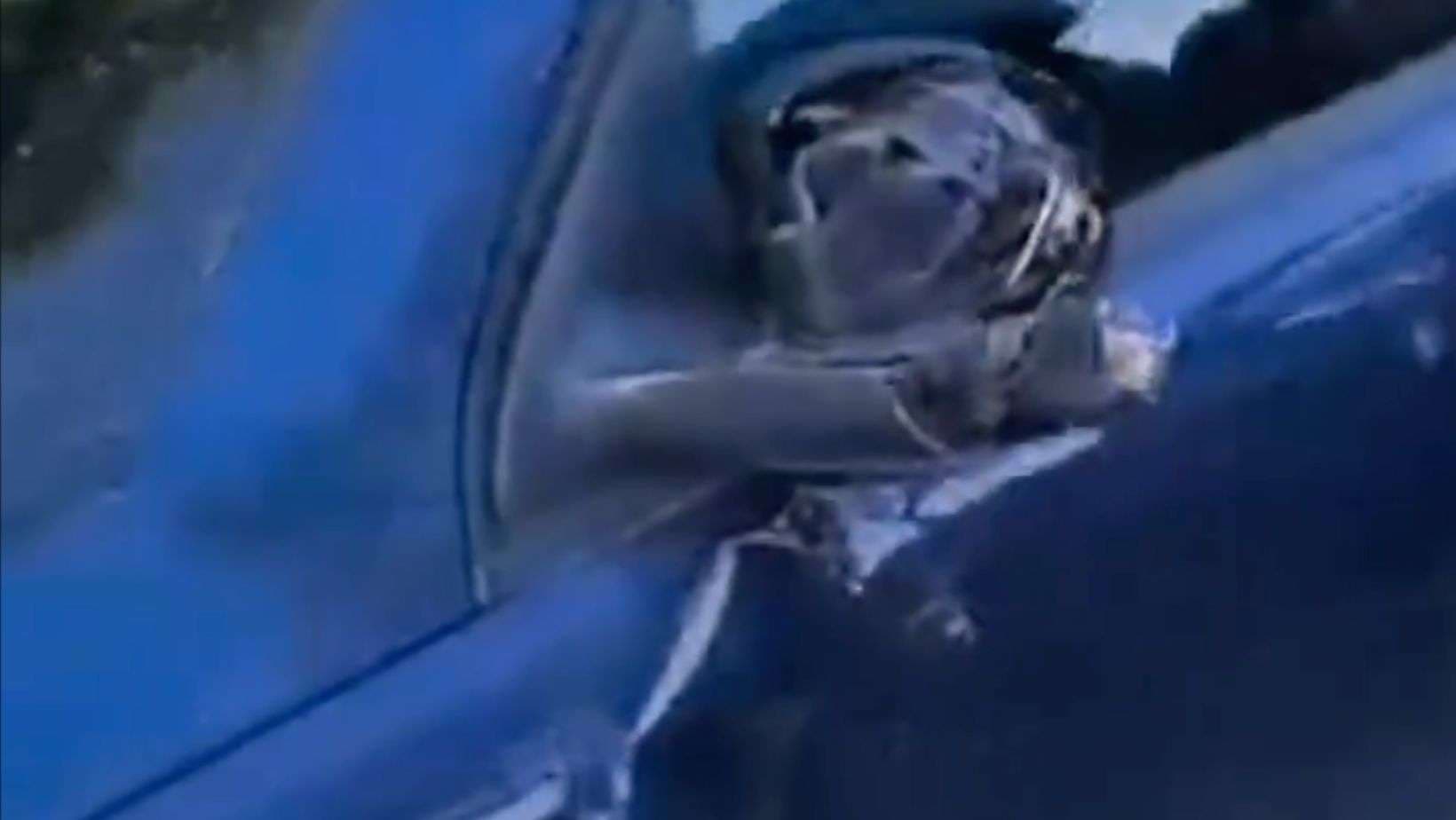 Intento de asalto termina en múltiple colisión frente al Zoológico