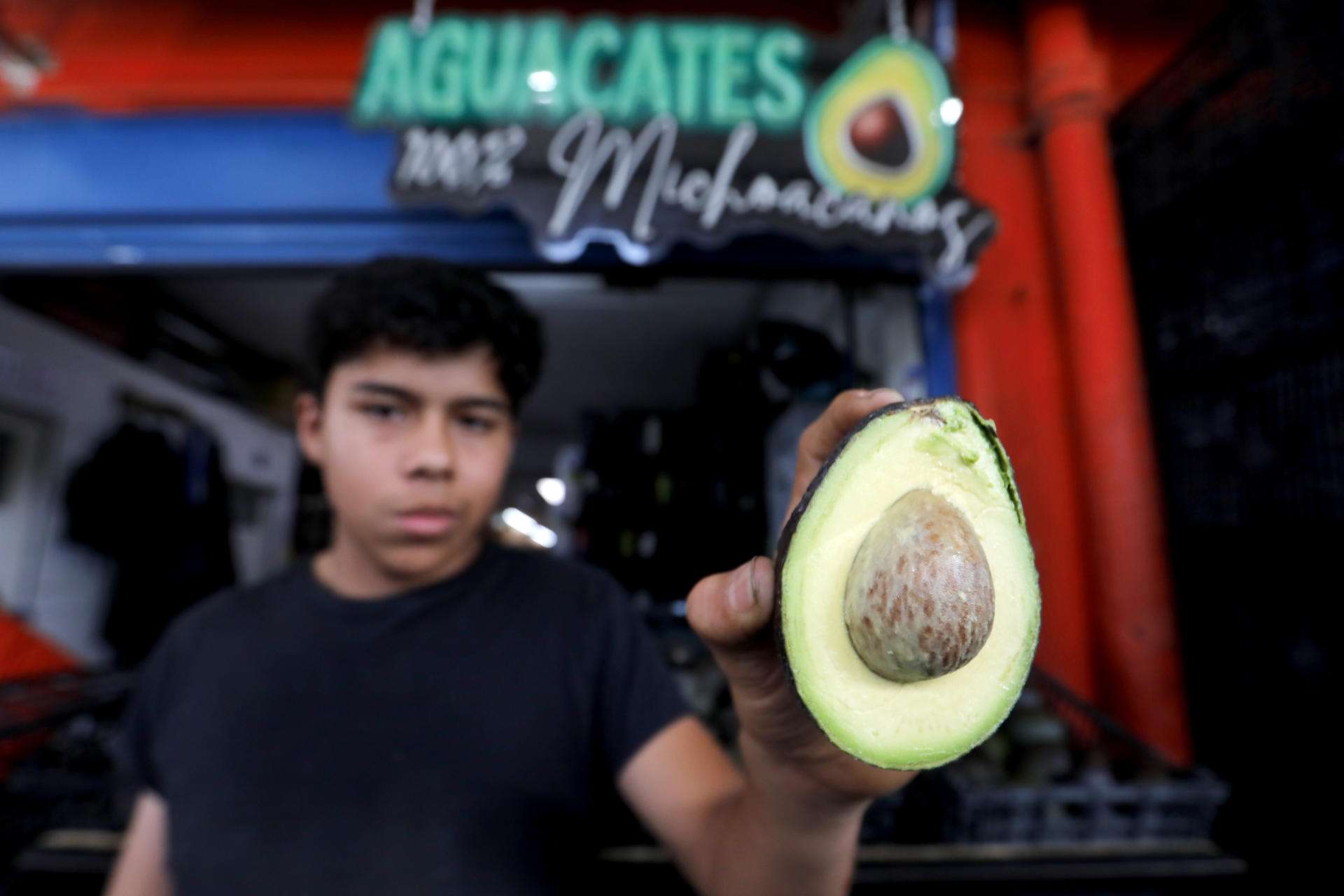 Un comerciante muestra un aguacate este jueves, en el mercado de abastos en la ciudad de Guadalajara en Jalisco (México). EFE/ Francisco Guasco