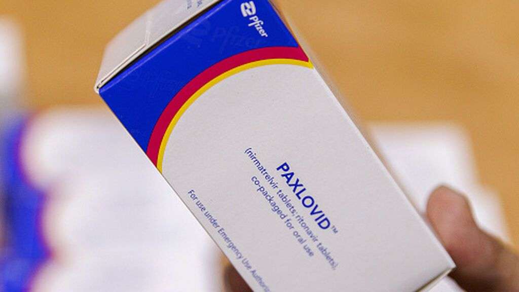 paxlovid pfizer
