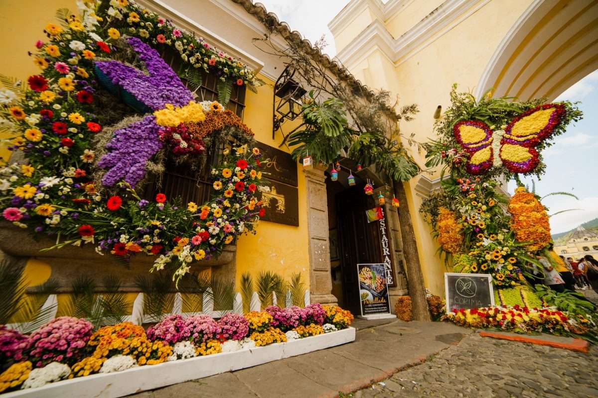 Perpetuas Rosas, será el tema del Festival de las Flores en La Antigua Guatemala 2022