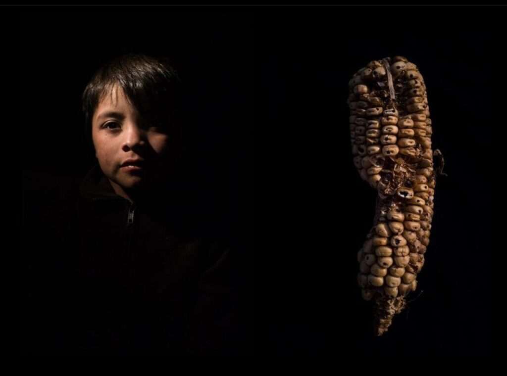 Hasta que el maíz vuelva a crecer, exposición fotográfica sobre cambio climático y migración