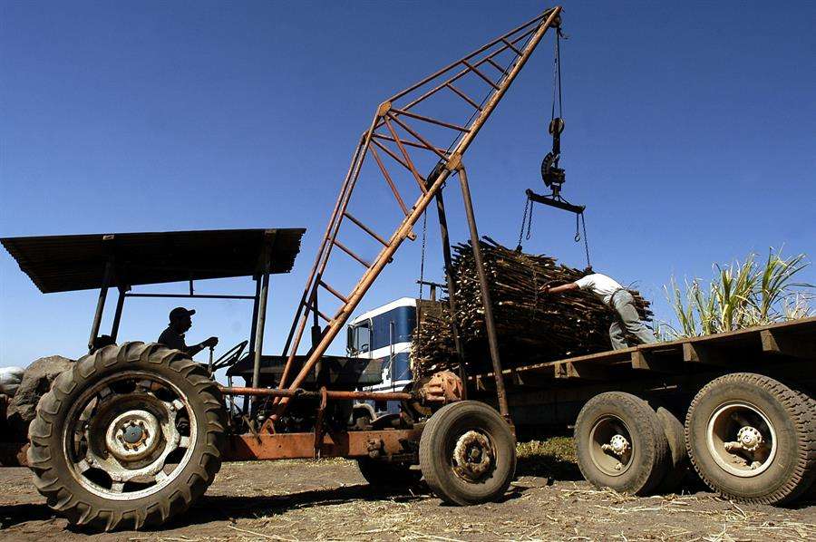 Ingresos por exportaciones guatemaltecas crecen un 24.2 % durante 2022