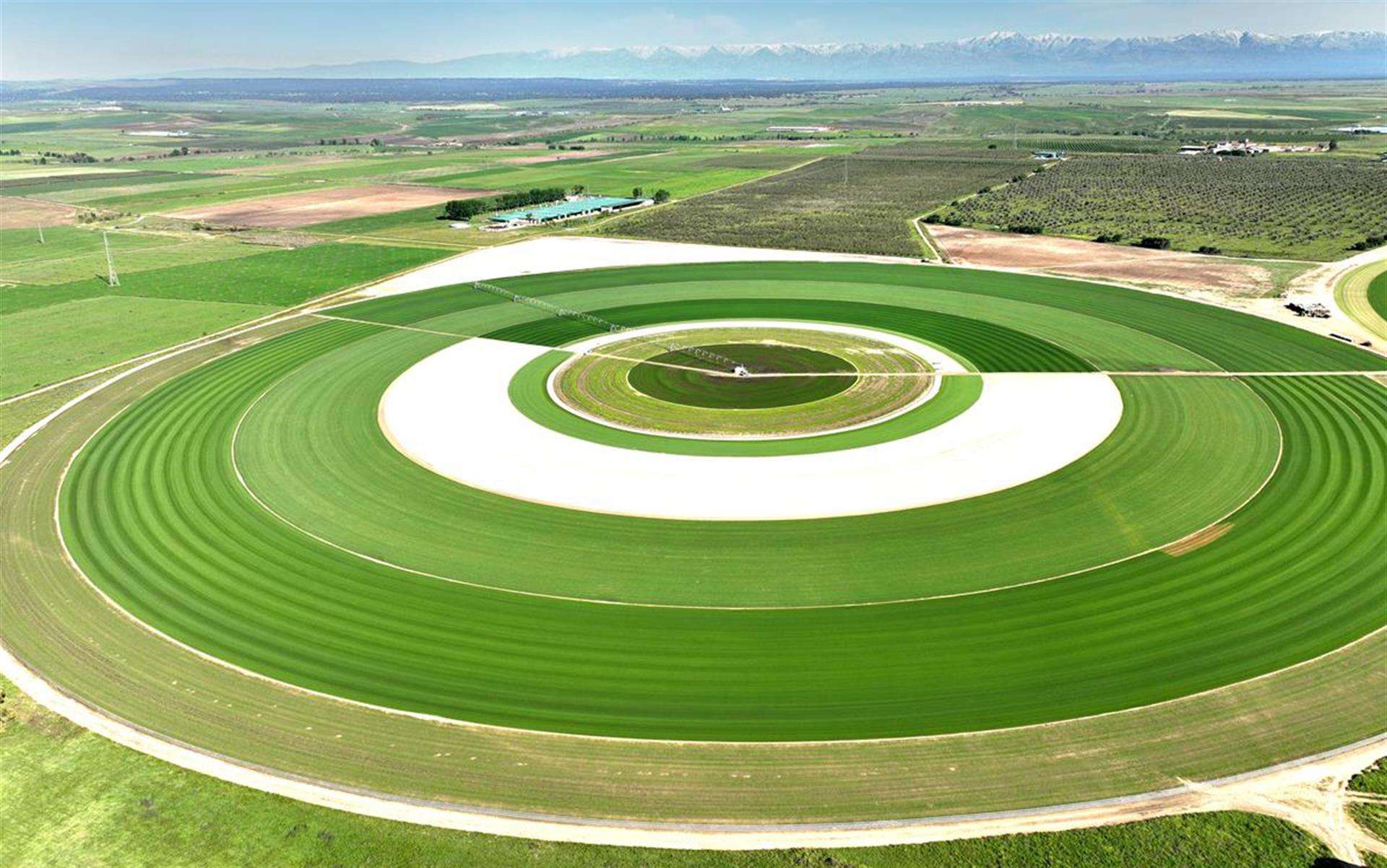 Instalaciones de la empresa de césped Novogreen.EFE/Novogreen