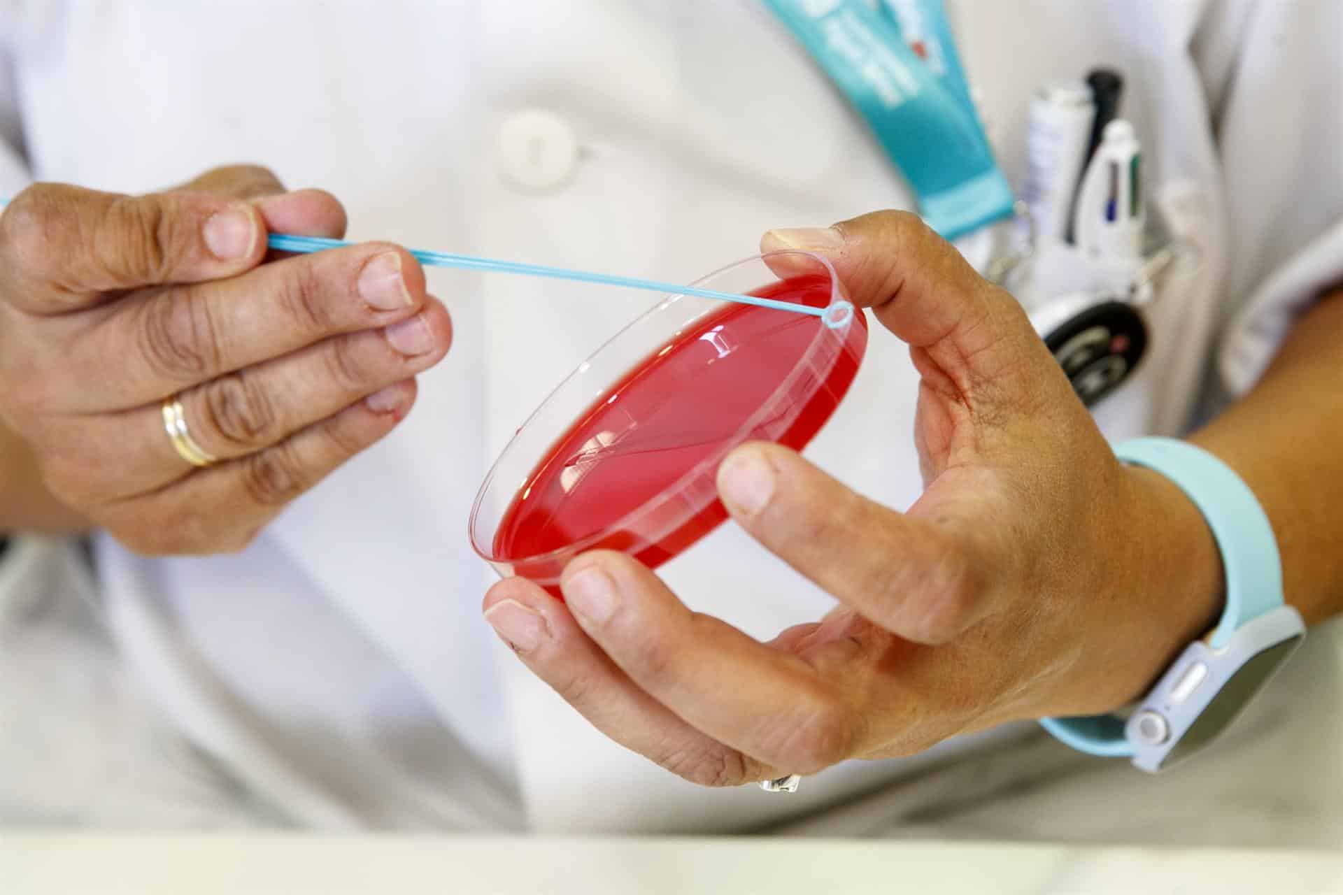 Foltografía de archivo de personal técnico de laboratorio preparando unas muestras para analizar. EFE/Javier Cebollada