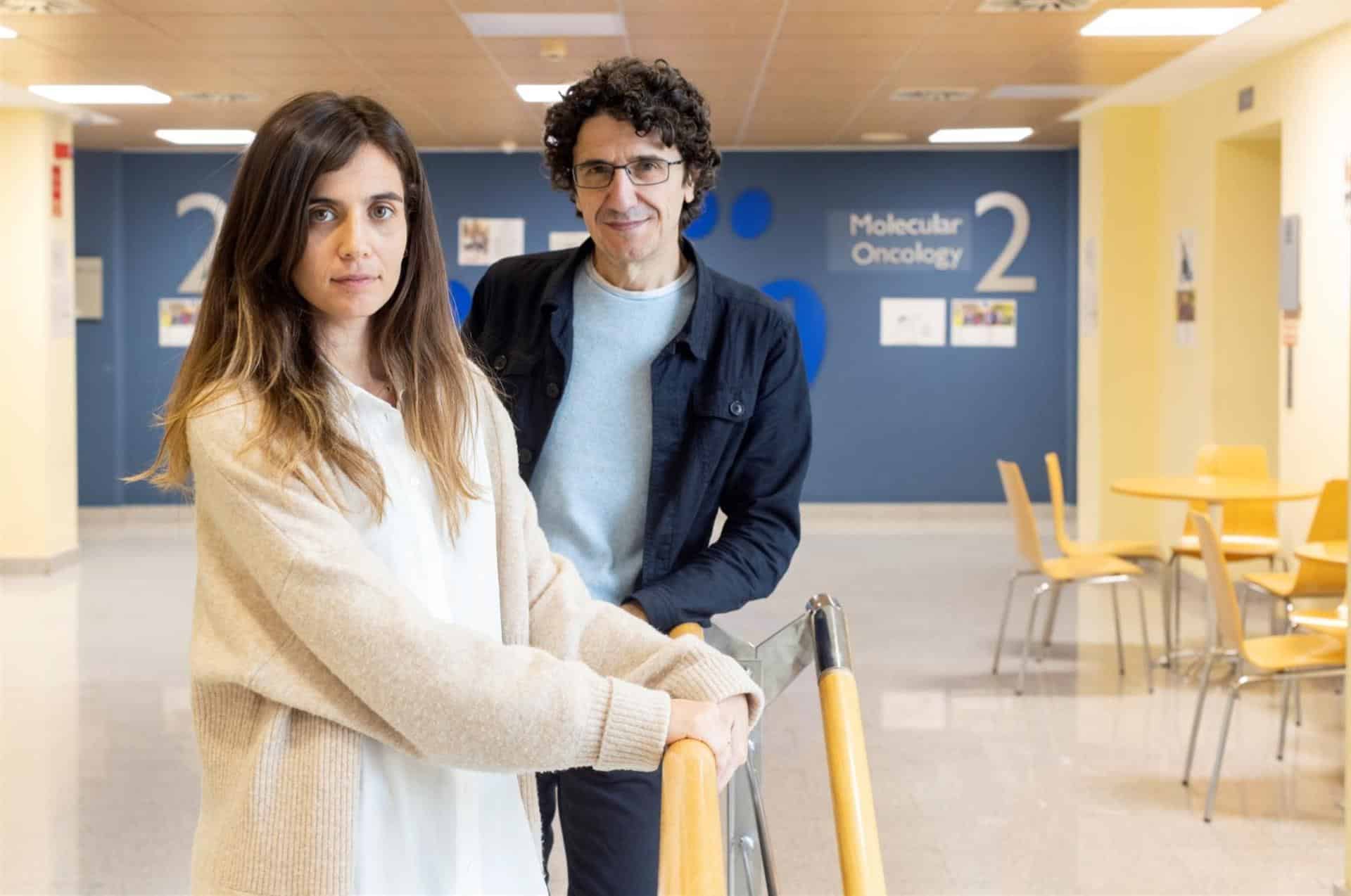 Los investigadores Marcos Malumbres y Carolina Villarroya-Beltri, del CNIO. Fotografía cedida por el CNIO (Laura M. Lombardía). EFE