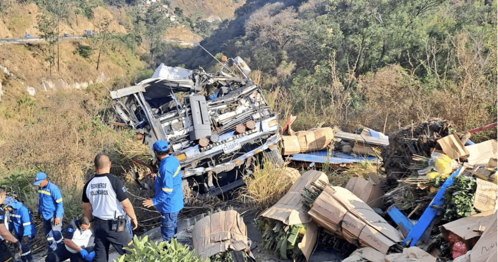 Camión se queda sin frenos en carretera VAS y se va al barranco