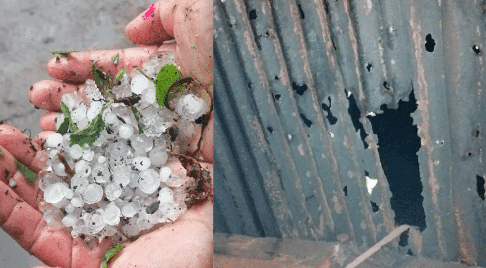 Clima en Guatemala | Caída de granizo deja daños en Alta Verapaz