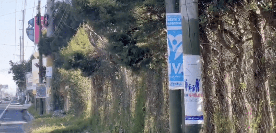 TSE multa a tres partidos políticos por propaganda en postes.