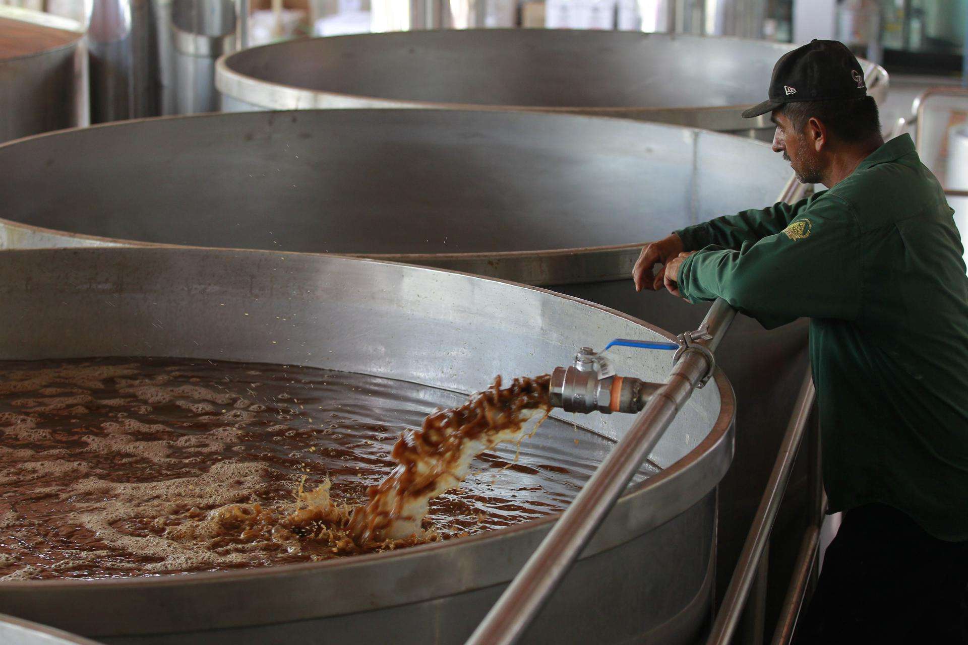 La industria tequilera en México certifica sus agaves para evitar un impacto ambiental