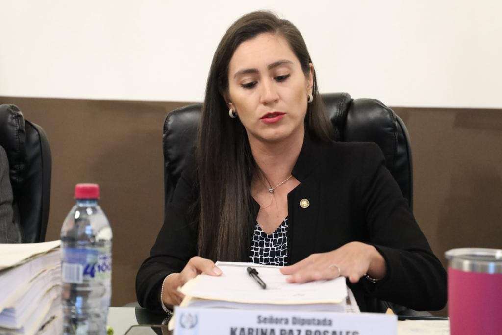 Diputada bancada VOS Karina Paz