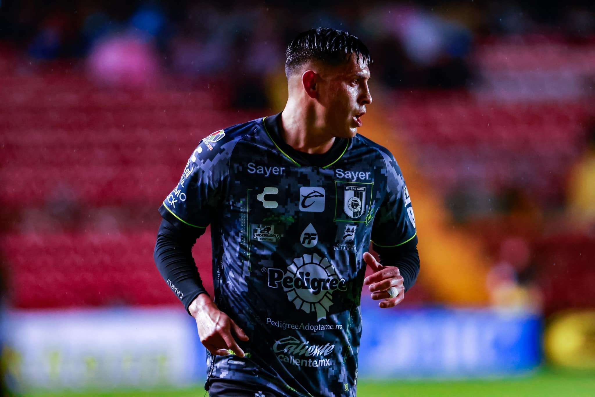 Rubio Rubín y Querétaro