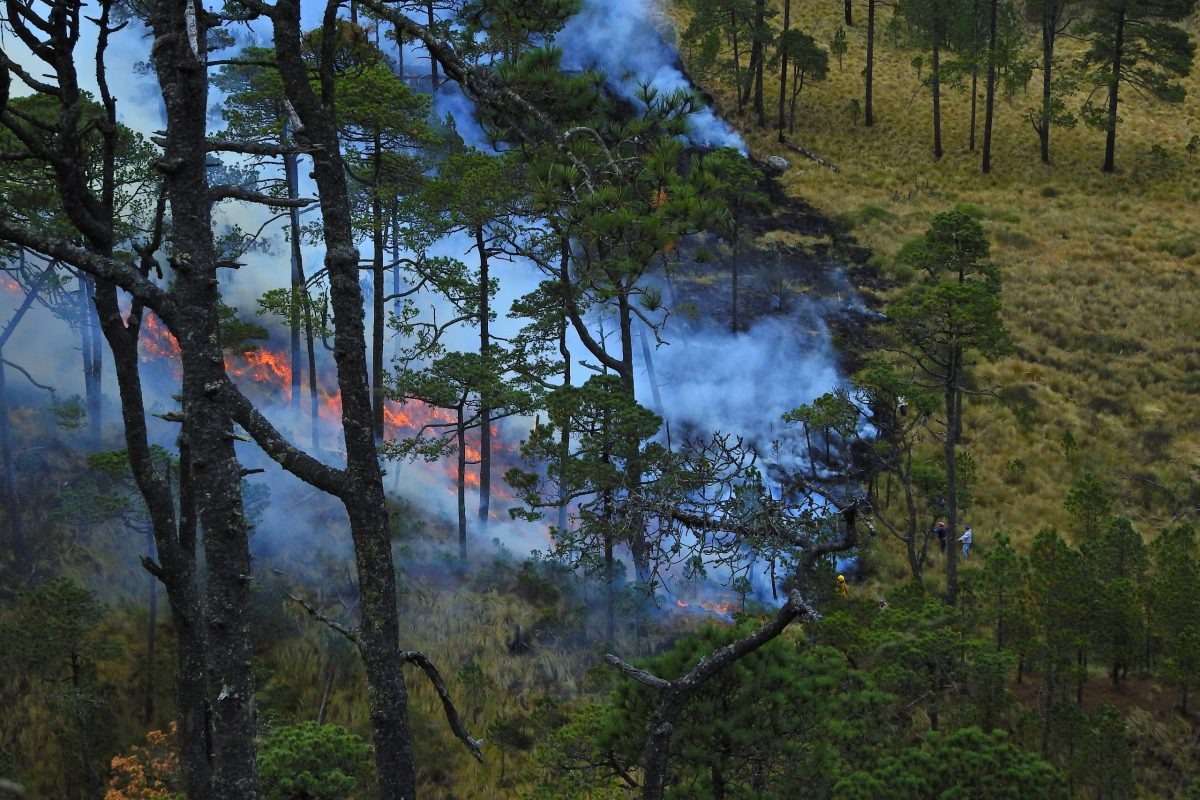 incendios forestales