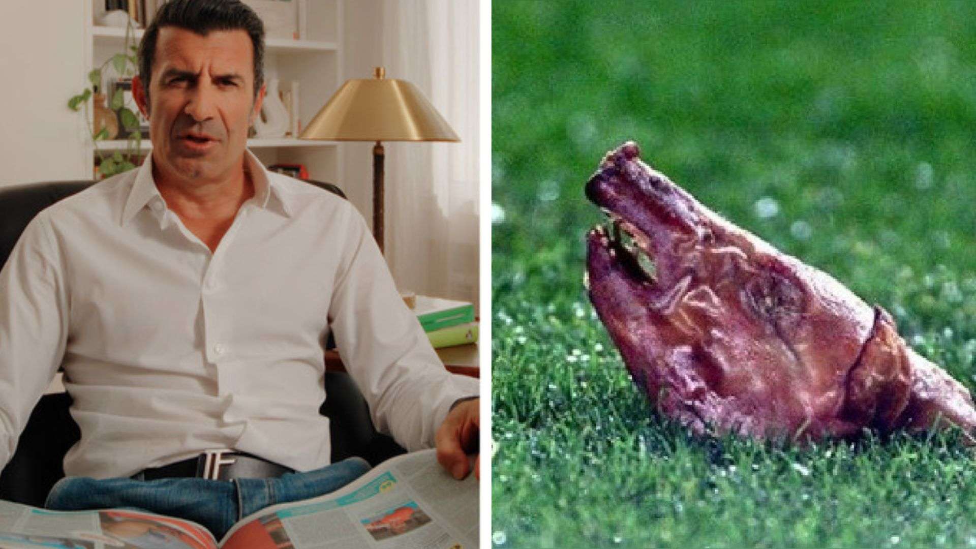 Luis Figo Cochinito