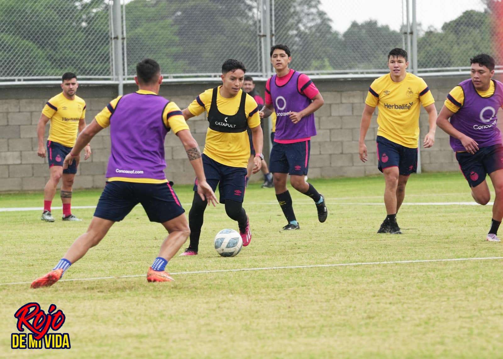 Municipal inicia con los trabajos pensando en el Apertura 2024 y Copa Centroamericana