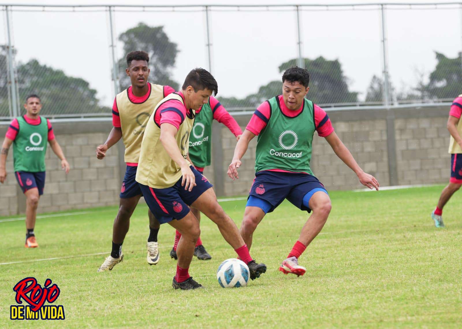 Chema Rosales Municipal