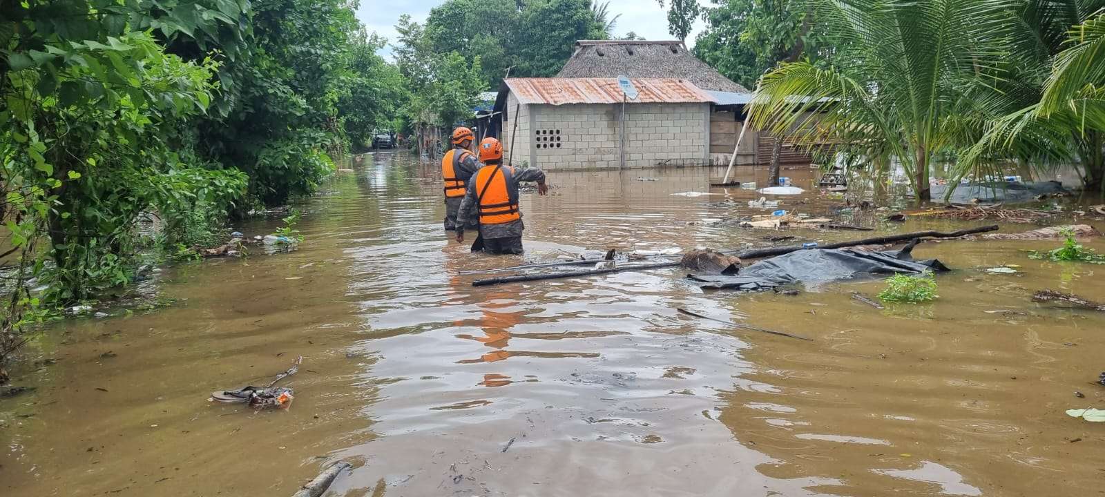 SE-CONRED y TikTok lanzan botón de búsqueda para informar sobre emergencias