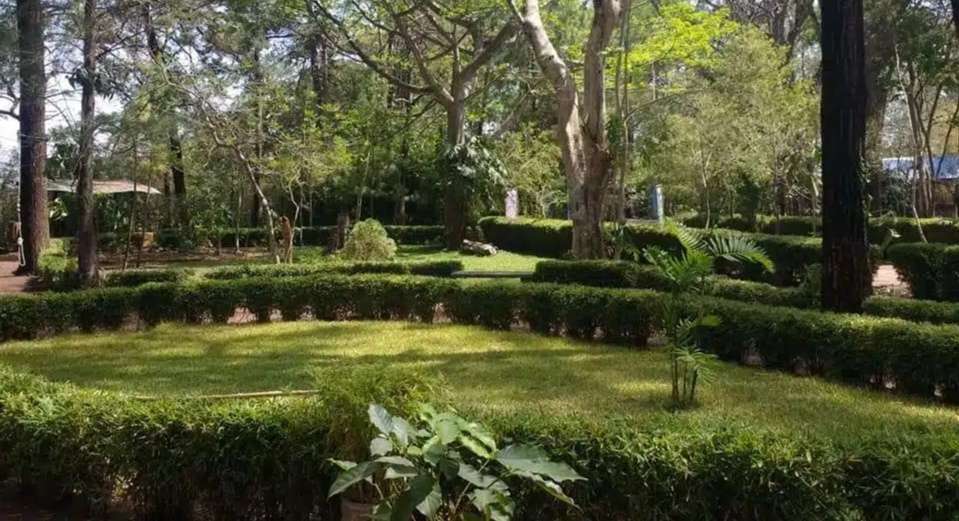 Seis parques ecológicos para visitar en la capital esta Semana Santa