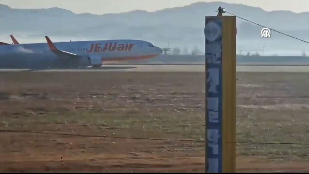 EN VIDEO | Así fue el siniestro del avión que dejó 179 muertos en Corea del Sur