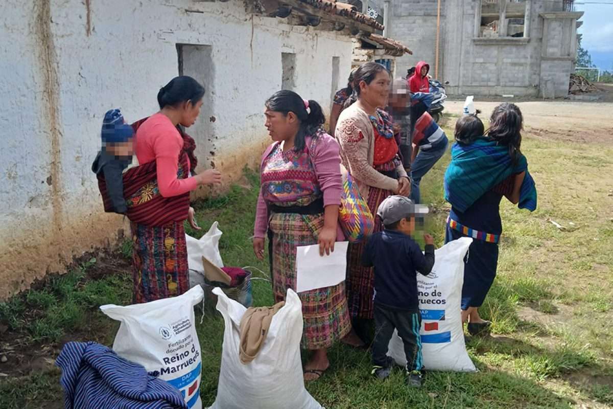 ¿Dónde están los fertilizantes? Diputada revela que un porcentaje de los fondos fue al fondo común