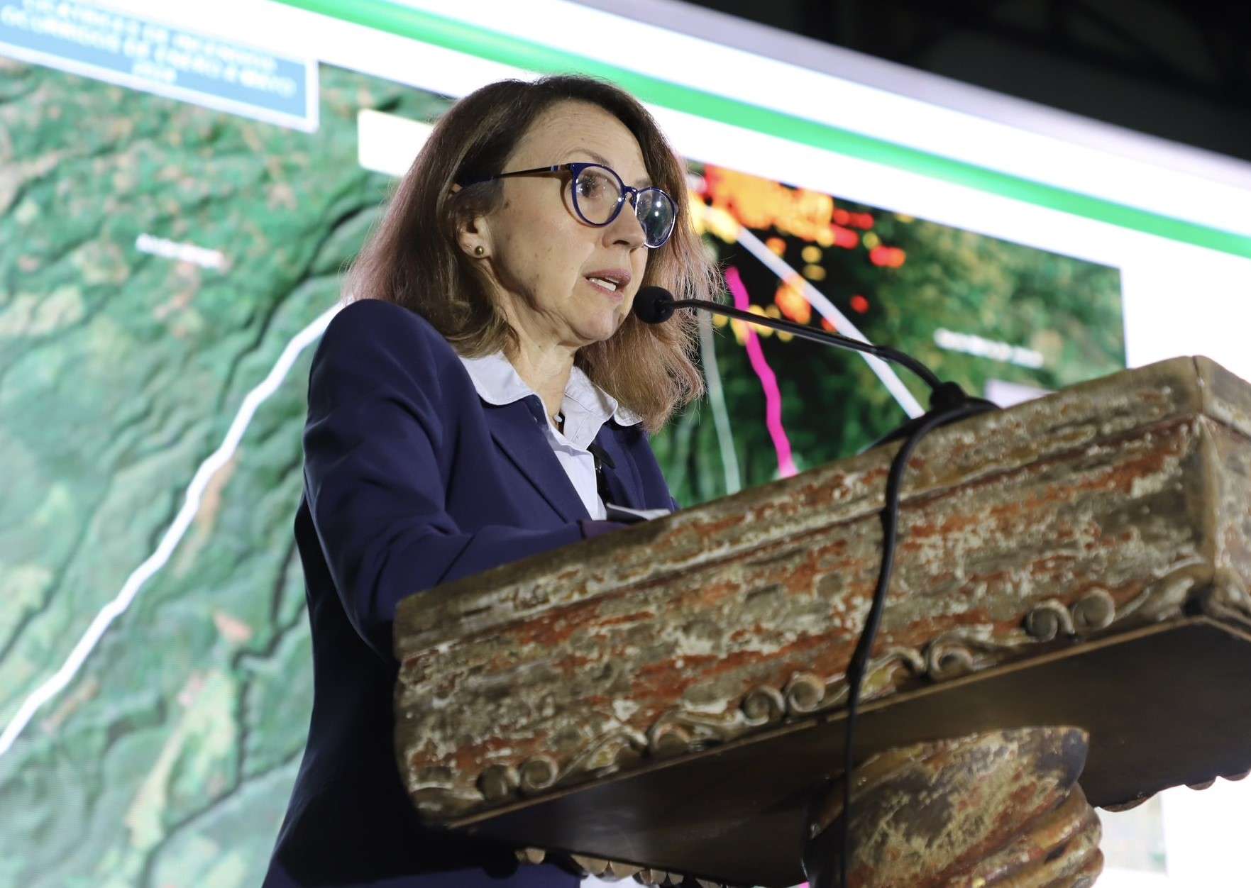 ¿Qué hay detrás del MARN? Diputado Ovalle solicita interpelación a ministra Patricia Orantes