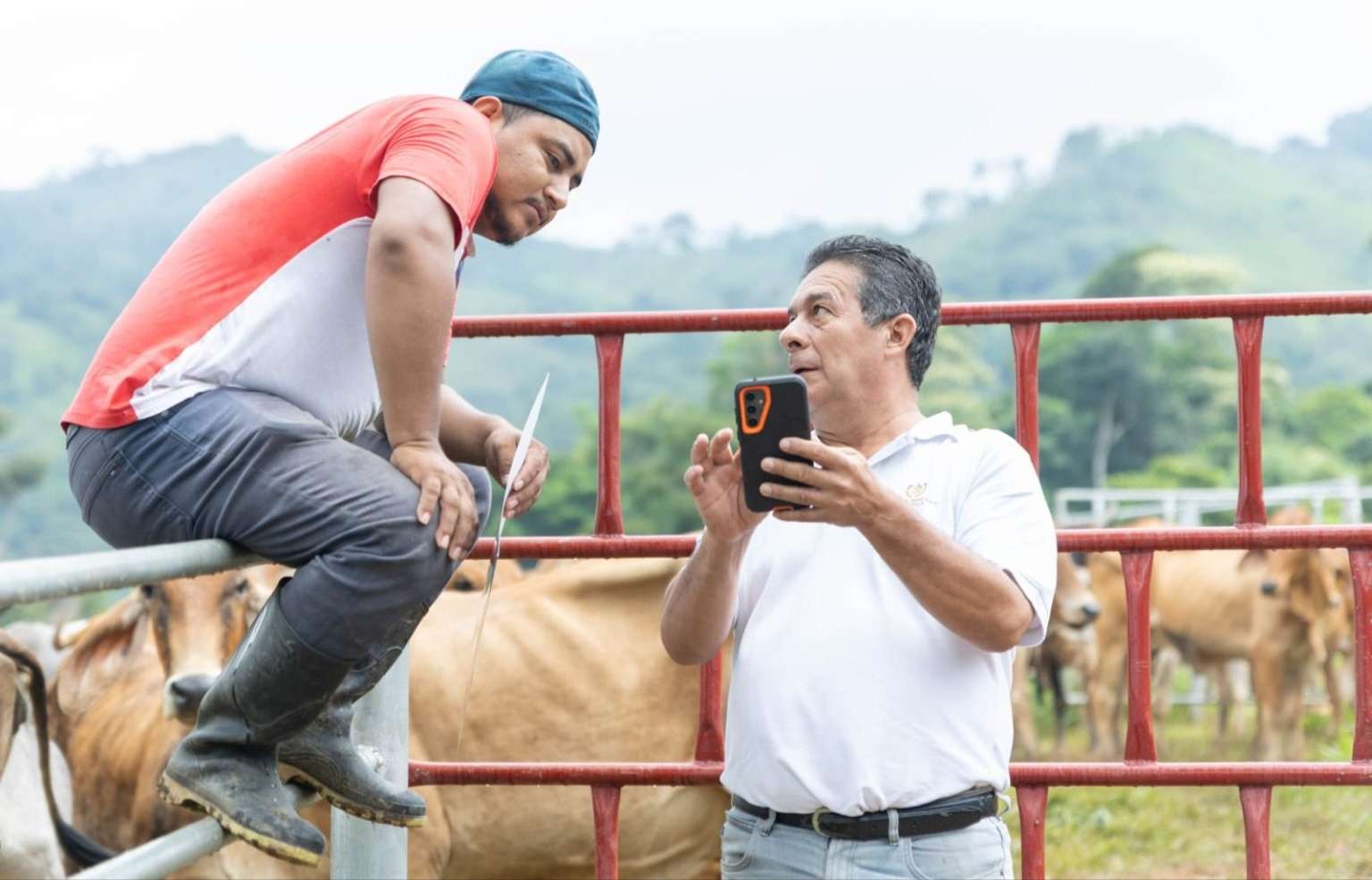 ¿Es contagioso el Gusano Barrenador del Ganado entre personas? Aquí te explicamos