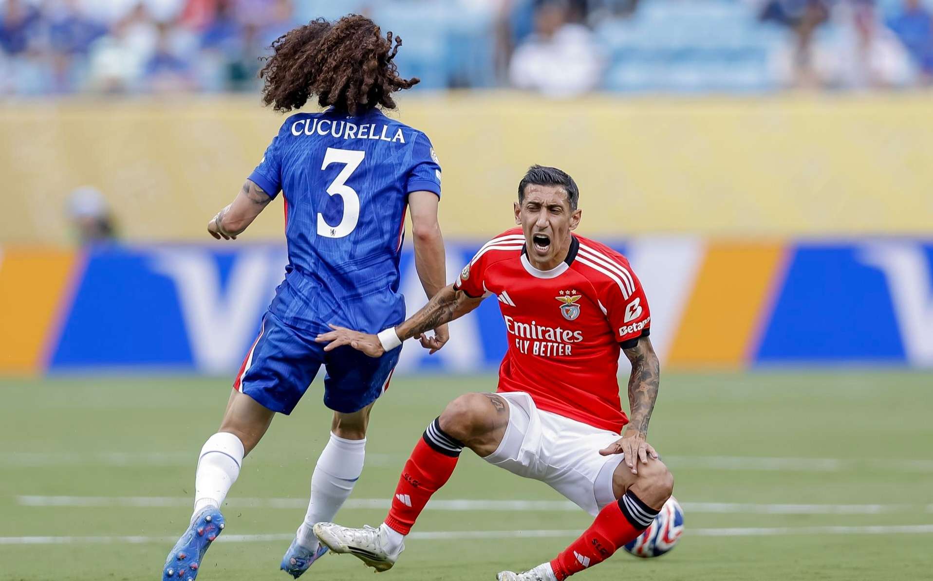 Benfica vs Chelsea