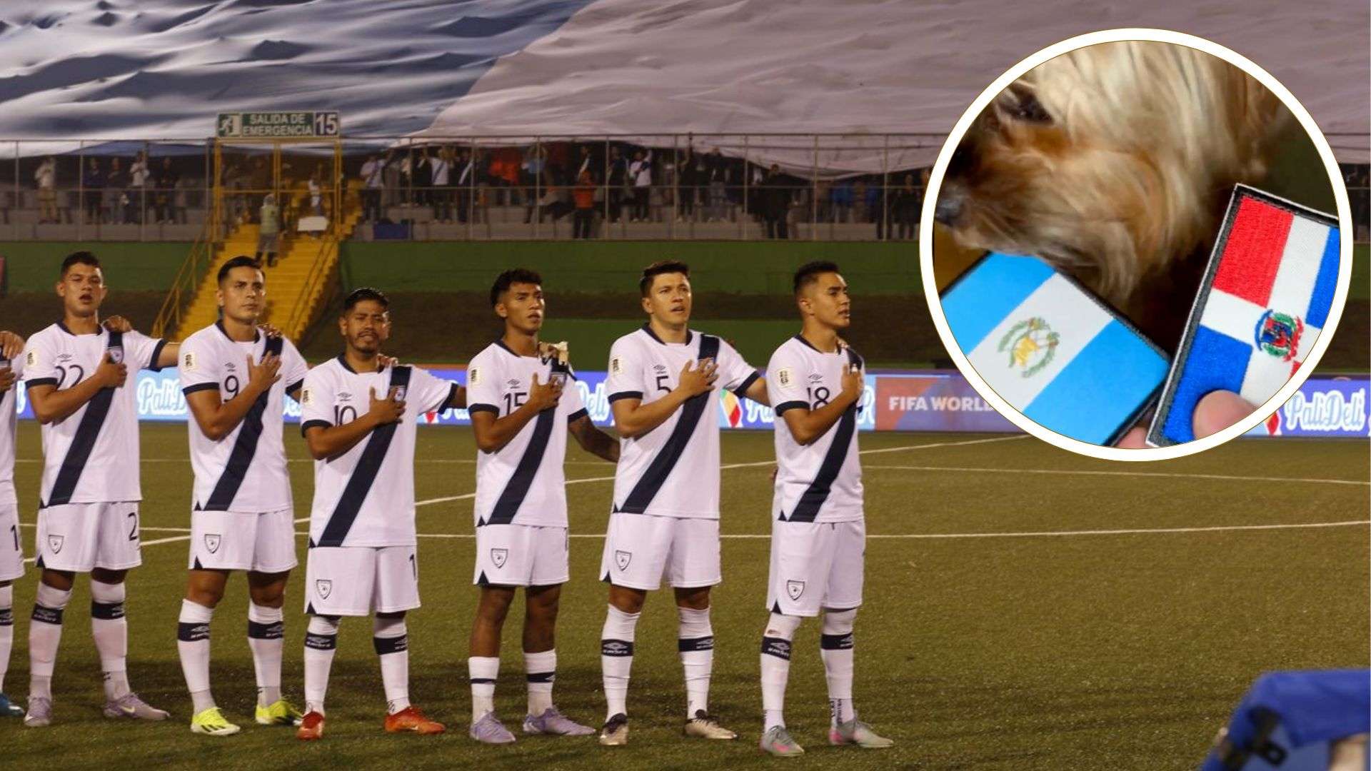 Político dominicano felicita a Guatemala: “Mr. Patas lo predijo”