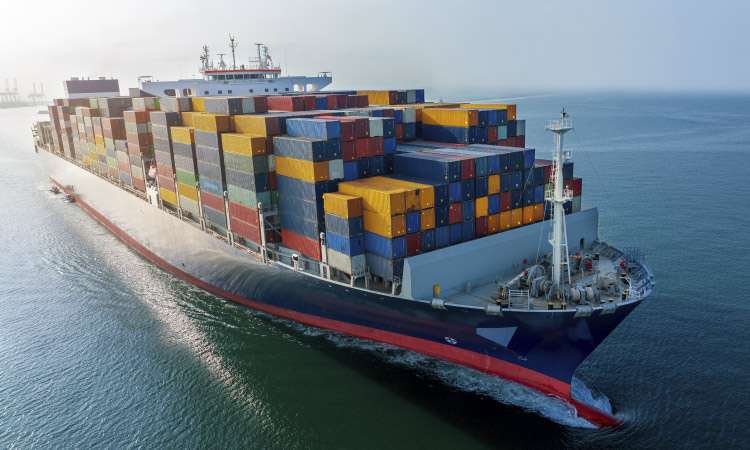 Cargamento procedente de Guatemala desata histórica incautación en Europa