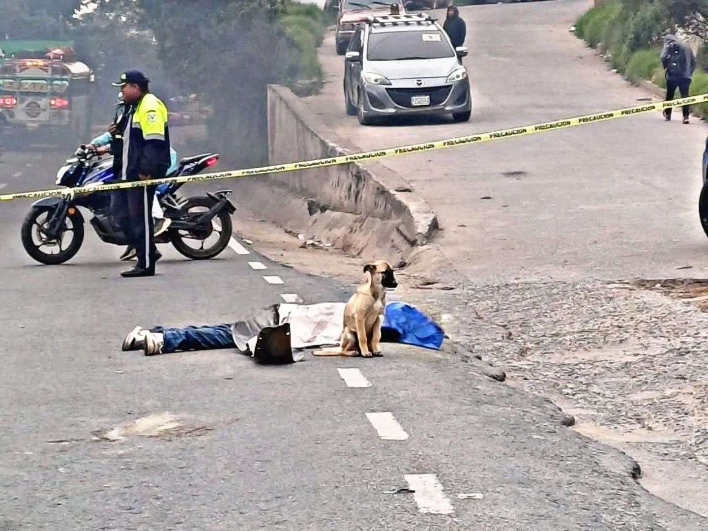 EN FOTOS | Hombre muere arrollado y su perro no se separa de su cuerpo
