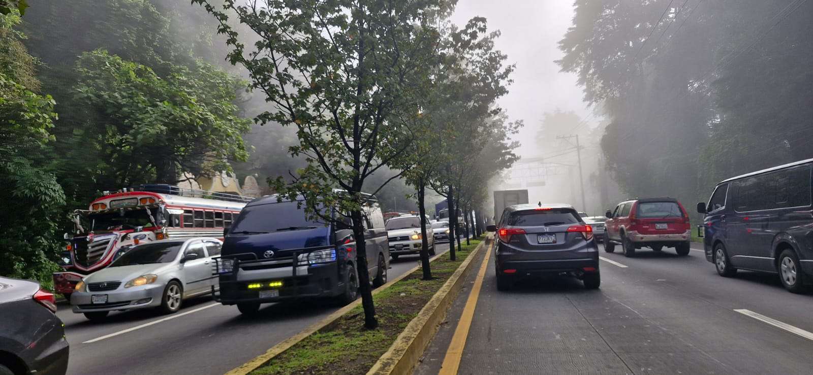 Precaución | Rama caída afecta tránsito en la ruta Interamericana