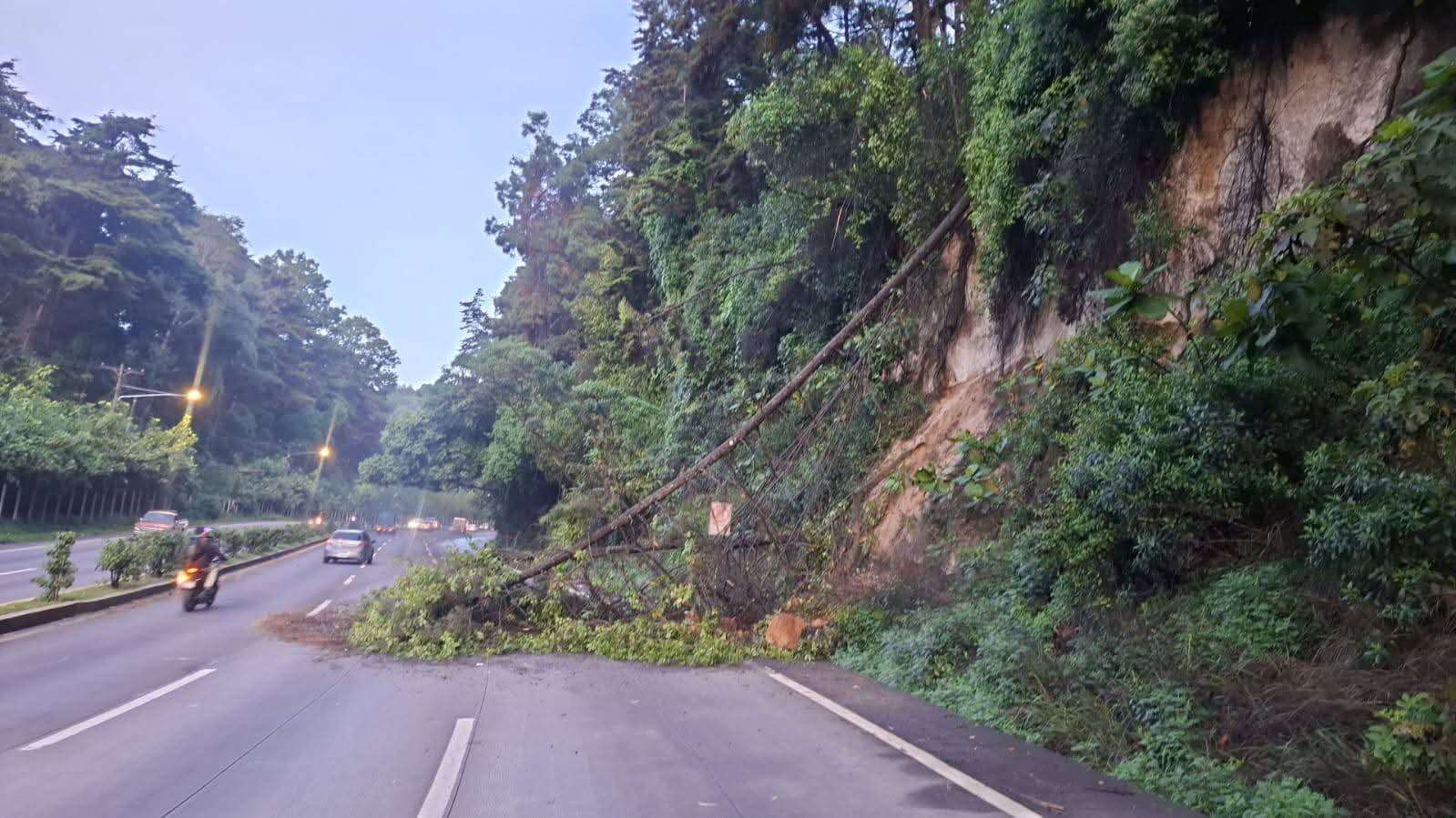 Precaución | Obstrucción parcial en la Interamericana por caída de árbol