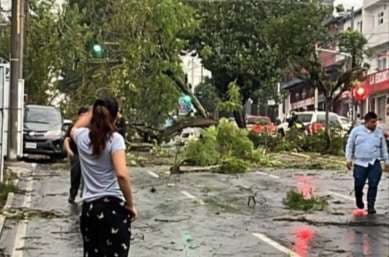 Tornado azota la capital: árboles caídos y emergencias en varias zonas