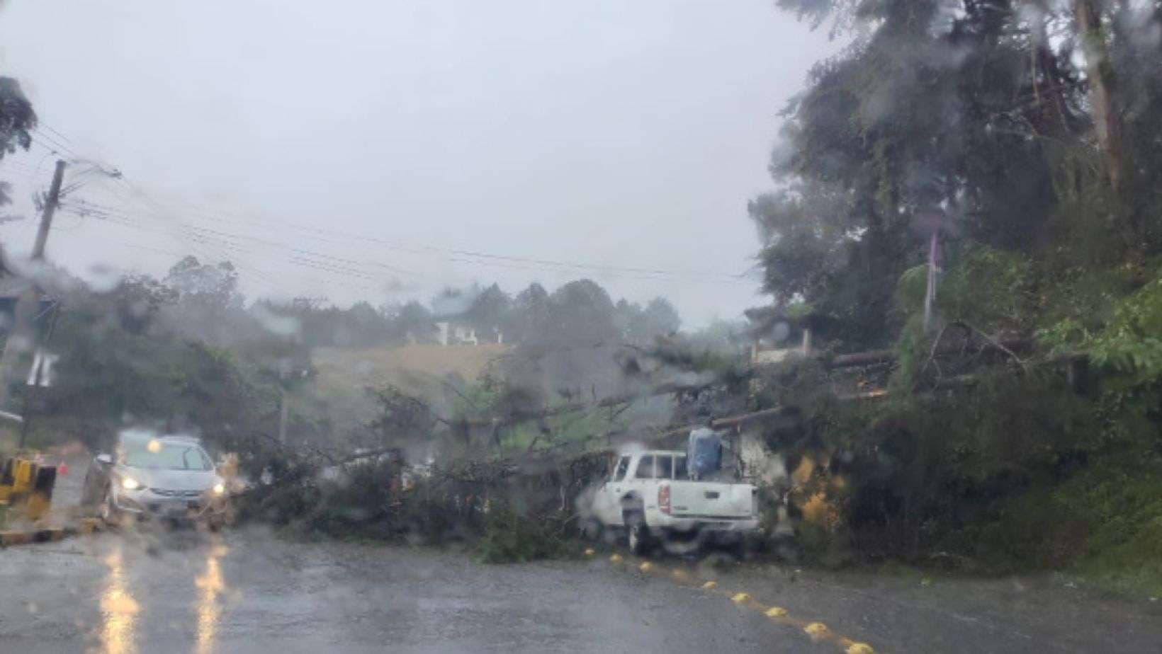 Caída de árbol bloquea tránsito en San José Pinula tras fuertes lluvias