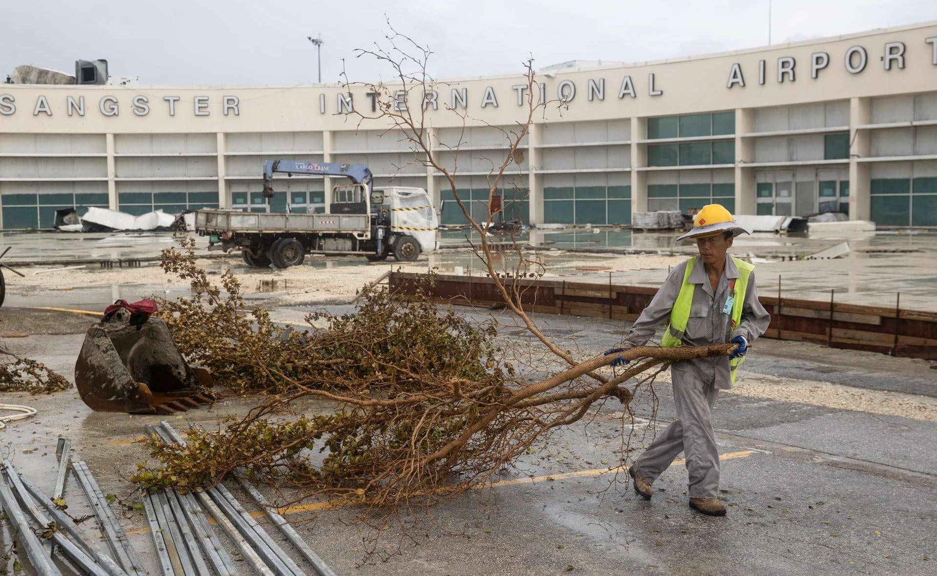 Un obrero fue captado este sábado, 1 de noviembre, al trasladar la rama de un árbol arrancada por el huracán Melissa, frente al Aeropuerto Internacional Sangstereste, en Montego Bay (Jamaica). EFE/Orlando Barría