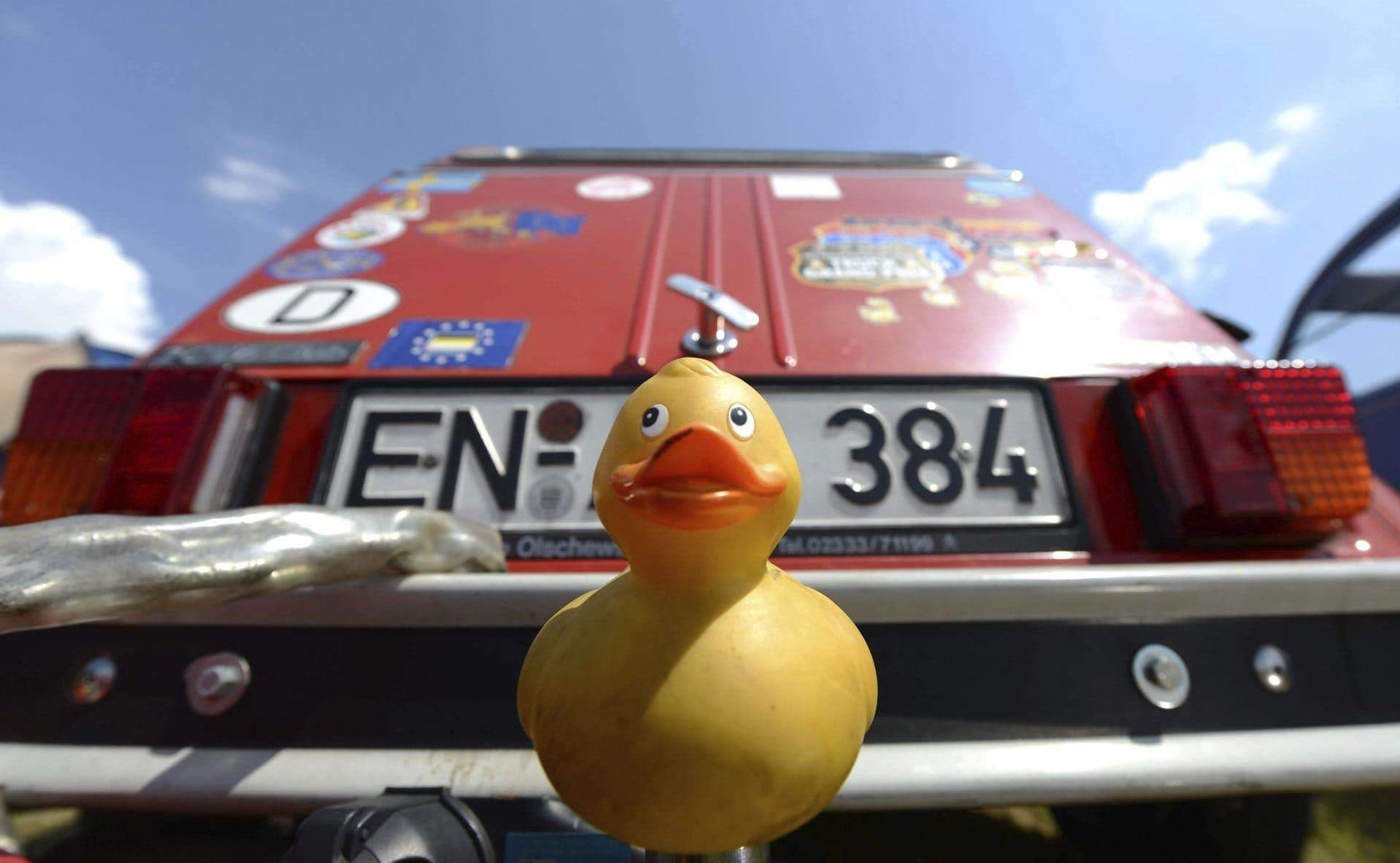 Imagen de julio de 2014 de un clásico patito de goma cubriendo la bola de remolque de un Citroen 2CV ("dos caballos") en Hofheim-Diedenbergen, Alemania. EFE/Arne Dedert