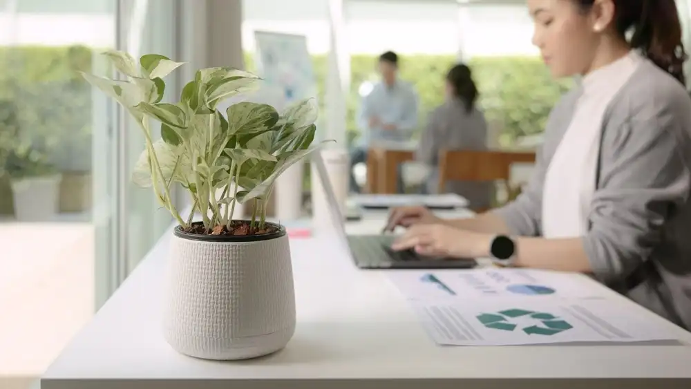 ¿Por qué el título ya no alcanza? El reto del primer empleo en Guatemala