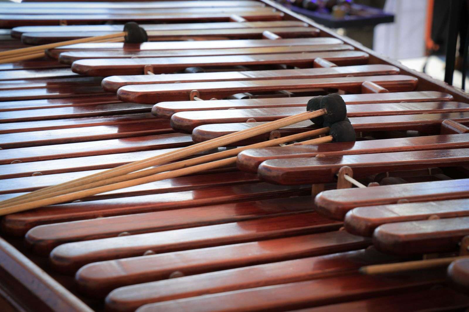 Día de la Marimba: melodías que llenan de orgullo y tradición la Plaza de la Constitución